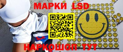 гидра Нальчик