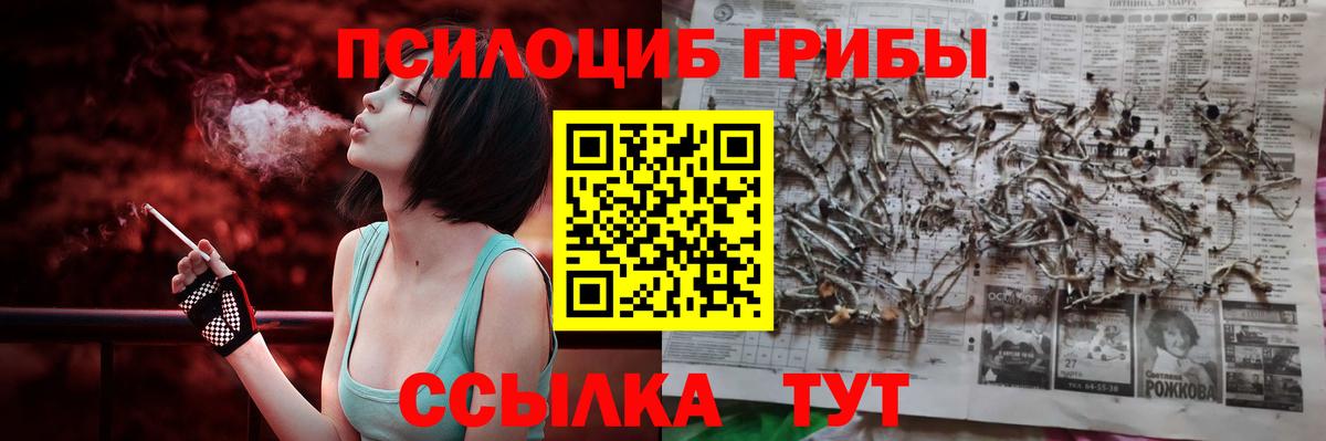 Галлюциногенные грибы Psilocybine cubensis  Вход с VPN  Сургут 